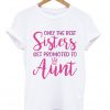 Only The Best Sisters Get Promoted To Aunt Pregnancy T Shirt
