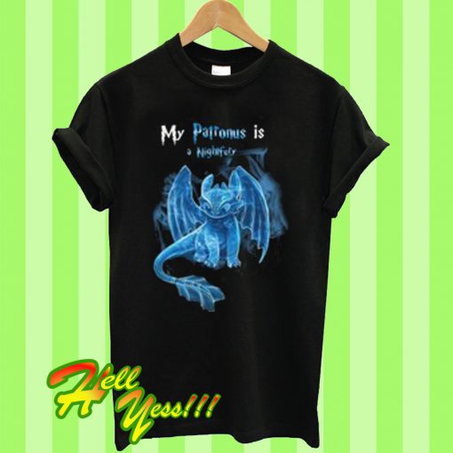 My patronus is a NightFury T Shirt