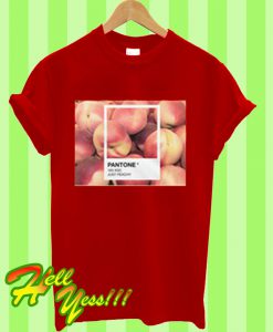 Pantone Just Peachy Orange T Shirt