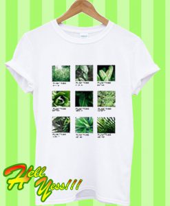 Plantone Cactus T Shirt