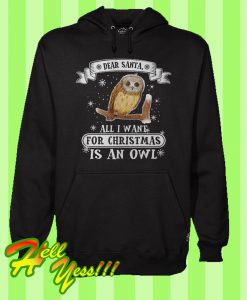 Dear Santa All I Want For Christmas Is An Owl Hoodie