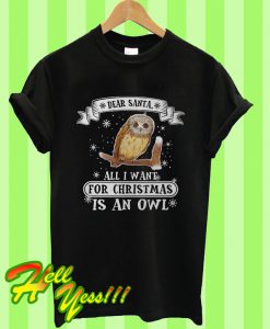 Dear Santa All I Want For Christmas Is An Owl T Shirt