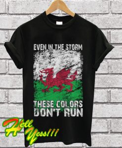 Even In The Storm These Colors Don't Run T Shirt