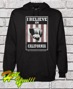 Bear I Believe In California Wildfires Hoodie