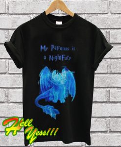 Harry Potter my Patronus is a Night Fury T Shirt