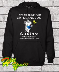 Snoopy And Woodstock I Wear Blue For My Grandson Hoodie