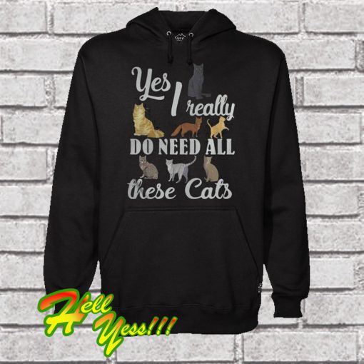 Yes I really do need all these cats Hoodie