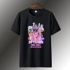 Pink 29 Years 1995 2024 Memories T Shirt