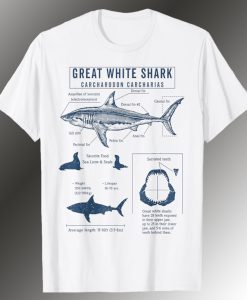 Great White Shark Anatormy T Shirt